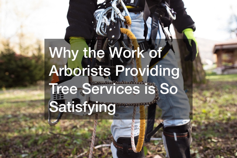 Why the Work of Arborists Providing Tree Services is So Satisfying